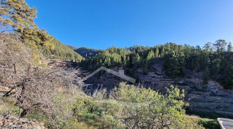 Zamora - Muelas del Pan - 1239m2