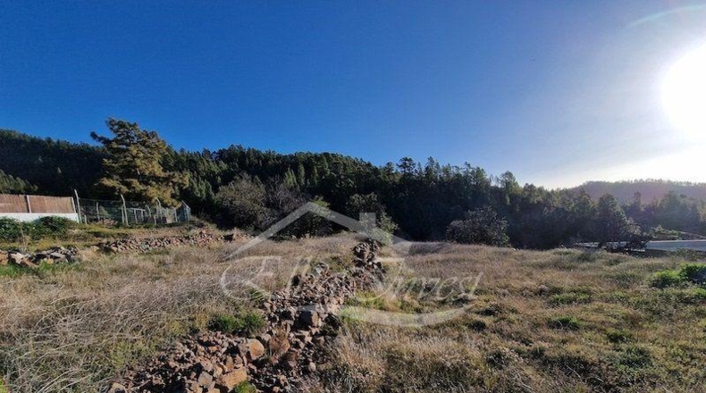 Zamora - Muelas del Pan - 1239m2