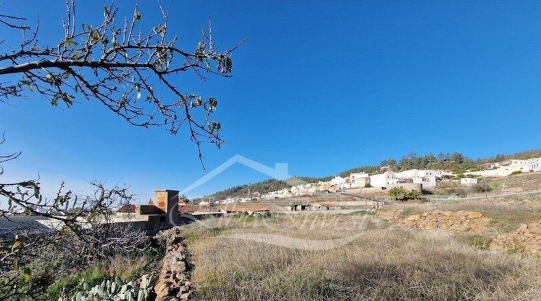 Zamora - Muelas del Pan - 1239m2