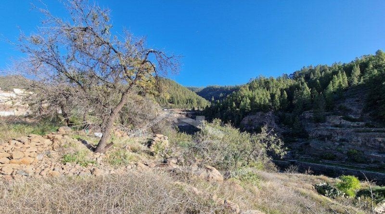 Zamora - Muelas del Pan - 1239m2