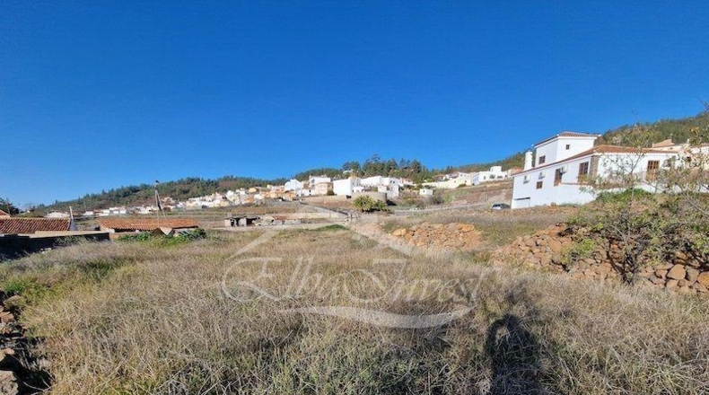 Zamora - Muelas del Pan - 1239m2