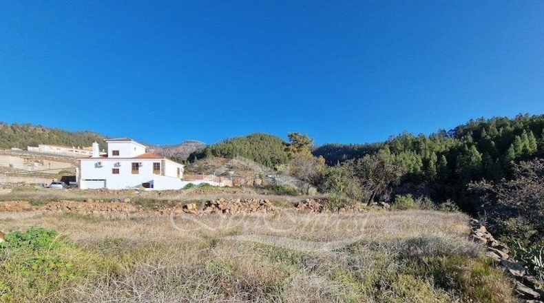 Zamora - Muelas del Pan - 1239m2