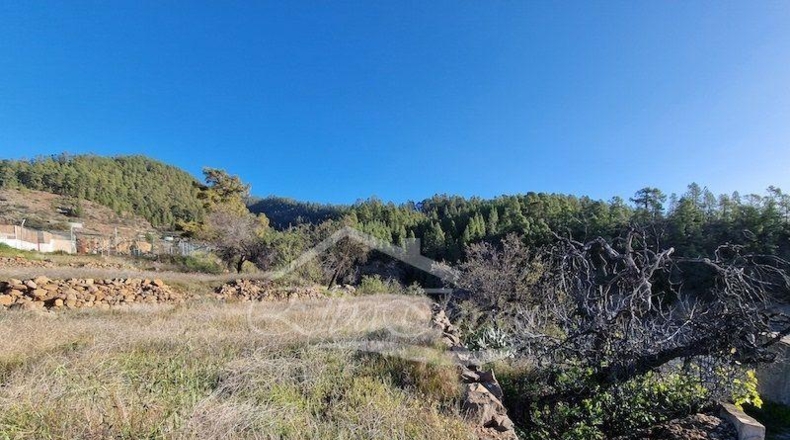 Zamora - Muelas del Pan - 1239m2