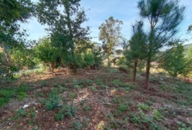 Sangenjo 1284&nbsp;м²
