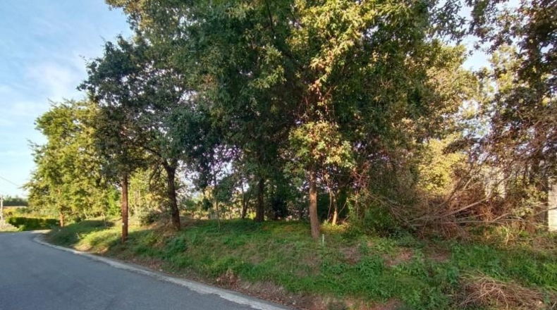 Pontevedra - Sangenjo - 1284m2