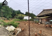 Загородный дом с участком на продажу в городе Villacarriedo Фото