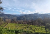 Xalet independent amb terreny en venda a la España, Oria, ref.: TR317189 foto