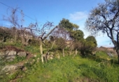 Xalet independent amb terreny en venda a la España, Oria, ref.: TR317189 foto