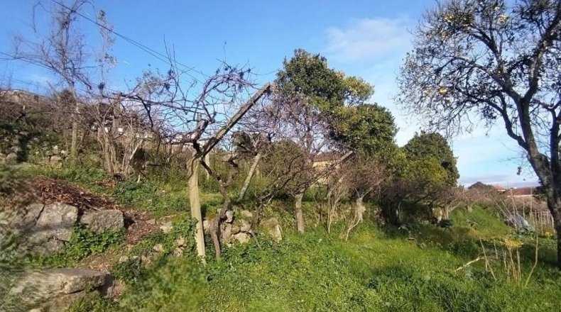 Almería - Oria - 138m2