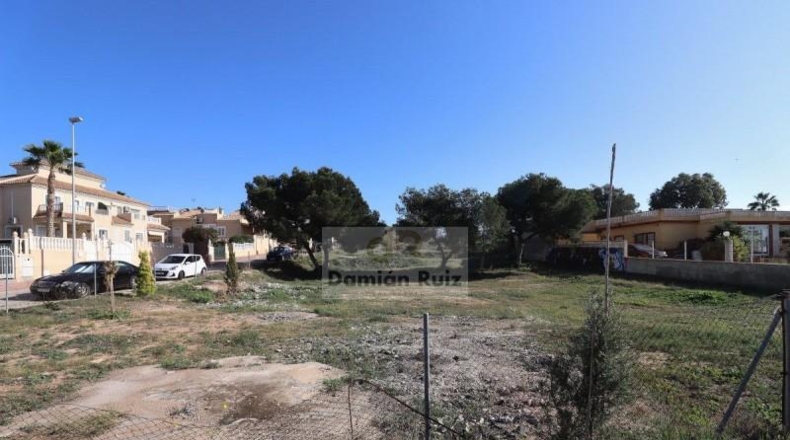 Alicante - Guardamar del Segura - 1653m2