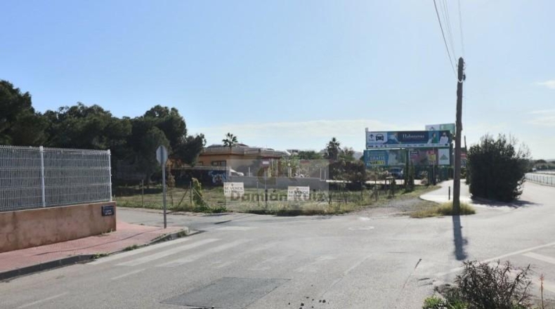 Alicante - Guardamar del Segura - 1653m2