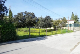 Guillena 1200&nbsp;m² 