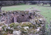 Terreny no urbanitzable en venda a la España, Aceituna, ref.: TR222196 foto