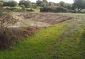 Terreny no urbanitzable en venda a la España, Aceituna, ref.: TR222196 foto
