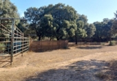 Terreny no urbanitzable en venda a la España, Aceituna, ref.: TR222196 foto