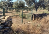 Terreny no urbanitzable en venda a la España, Aceituna, ref.: TR222196 foto