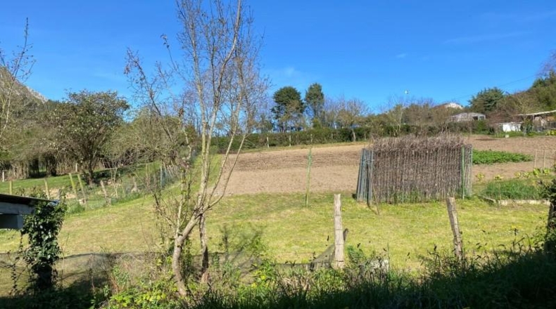 Cantabria - Castro-Urdiales - 3098m2
