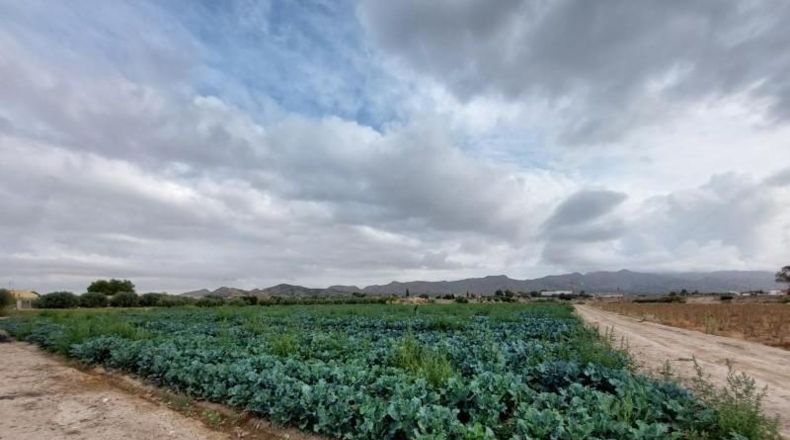 Murcia - Lorca - 15000m2