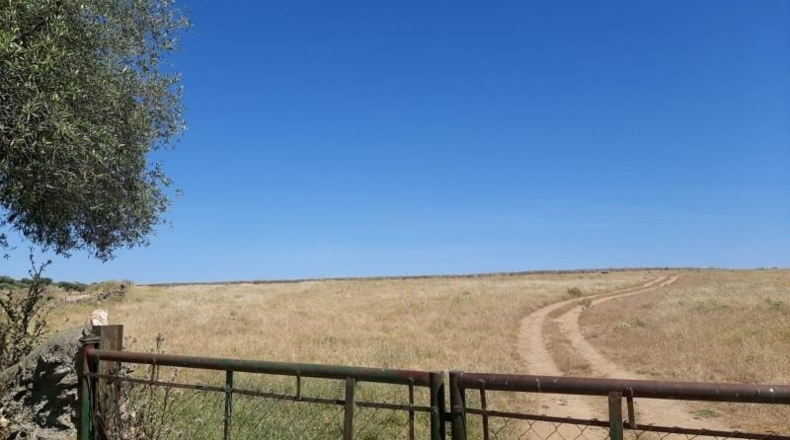 Cáceres - Garrovillas de Alconétar - 150000m2