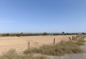 Terreno no urbanizable en venta en la España, Elche, ref: TR173723 foto