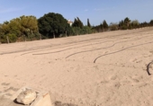 Terreno no urbanizable en venta en la España, Elche, ref: TR173723 foto