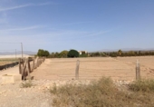 Terreno no urbanizable en venta en la España, Elche, ref: TR173723 foto