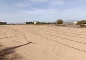 Terreno no urbanizable en venta en la España, Elche, ref: TR173723 foto