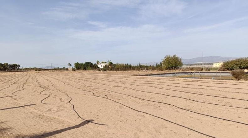 Alicante - Elche - 11m2