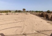 Terreno no urbanizable en venta en la España, Elche, ref: TR173723 foto