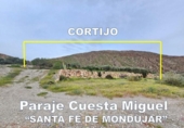 Casa de camp amb terreny en venda a la España, Mondújar, ref.: TR308573 foto