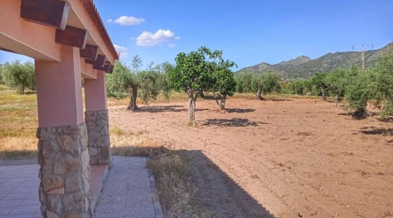 Caceres - Montánchez - 10000m2