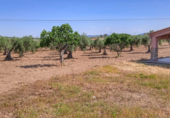 Xalet independent amb terreny en venda a la España, Montánchez, ref.: TR112280 foto
