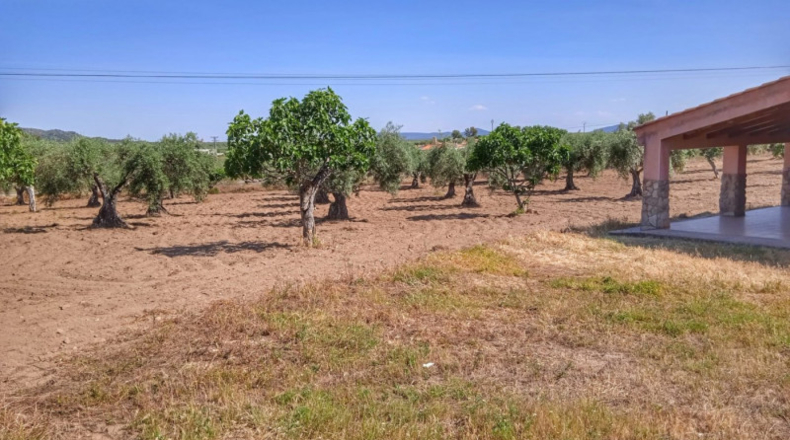 Caceres - Montánchez - 10000m2