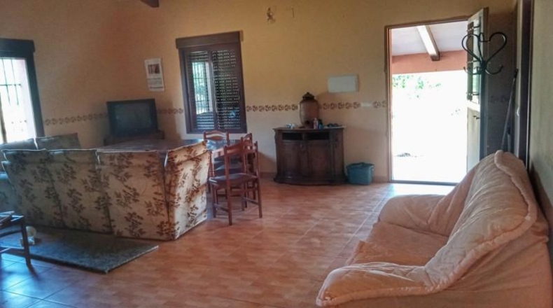 Caceres - Montánchez - 10000m2
