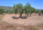 Xalet independent amb terreny en venda a la España, Montánchez, ref.: TR112280 foto