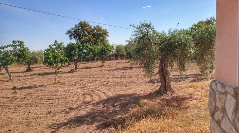 Caceres - Montánchez - 10000m2