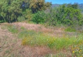 Xalet independent amb terreny en venda a la España, Montánchez, ref.: TR112280 foto
