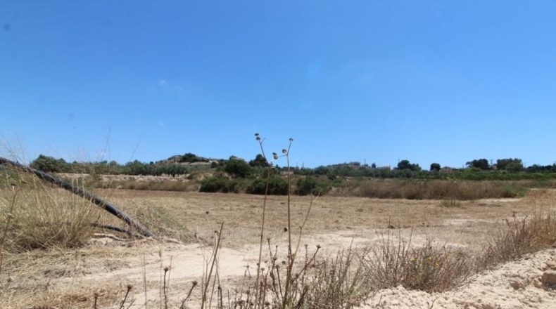 Alicante - Aspe - 14000m2