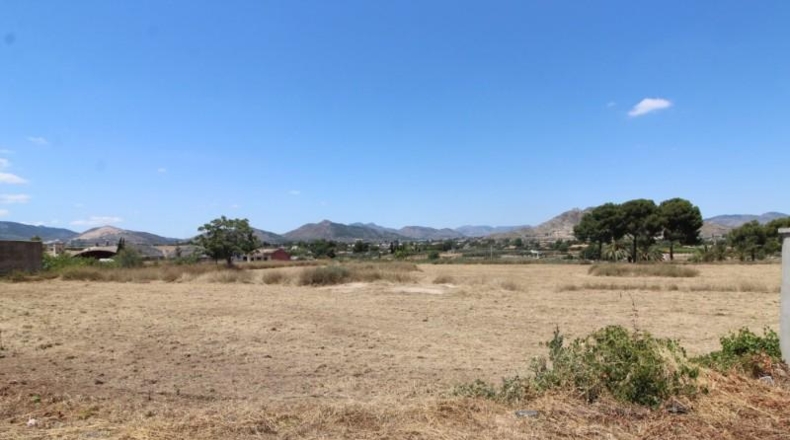 Alicante - Aspe - 14000m2