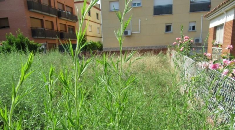 Gerona - Riells - 351m2