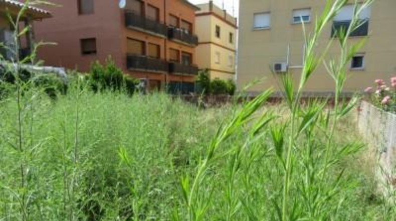 Gerona - Riells - 351m2
