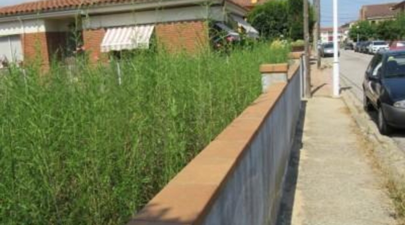 Gerona - Riells - 351m2