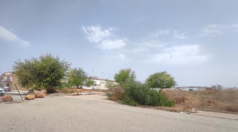 Seville - Alcalá de Guadaíra - 2000m2