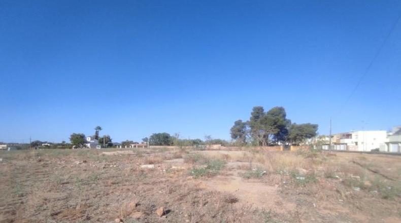 Seville - Alcalá de Guadaíra - 2000m2