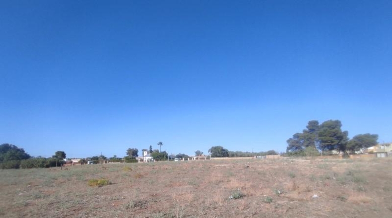 Seville - Alcalá de Guadaíra - 2000m2