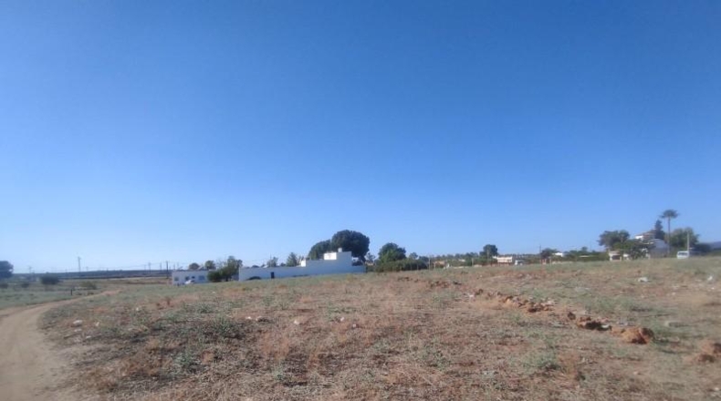 Seville - Alcalá de Guadaíra - 2000m2