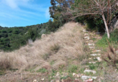 Land suitable for development for sale on España, Lloret de Mar, ref: TR117655 photo