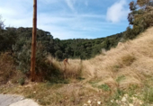 Land suitable for development for sale on España, Lloret de Mar, ref: TR117655 photo