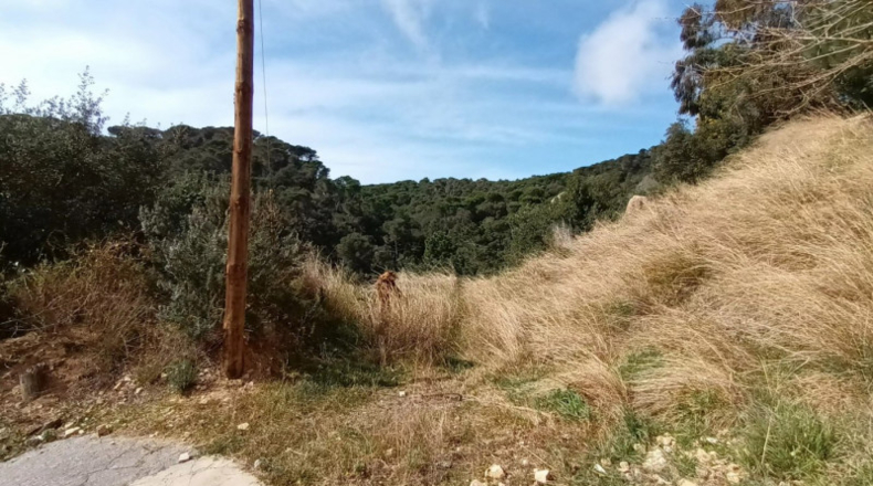 Gerona - Lloret de Mar - 800m2