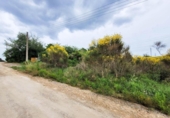 Non-developable land for sale on España, Castellbisbal, ref: TR124863 photo